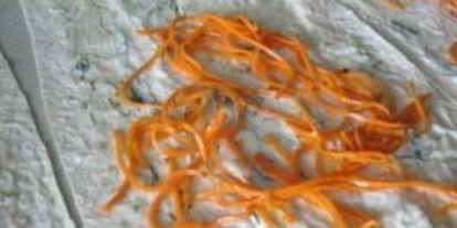 Шаг 1: свинины в лаваше