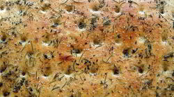 Рецепт Фокаччи с зеленью