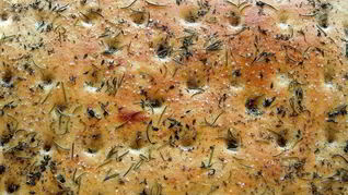 Рецепт Фокаччи с зеленью