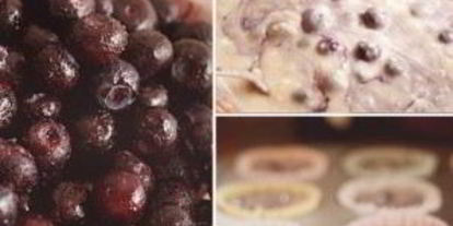 Шаг 3: лимонных маффинов с черникой