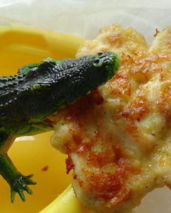 Рецепт драконьего мяса — куриных оладий