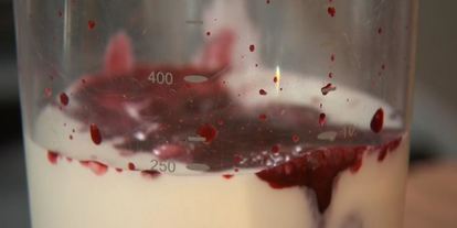 Шаг 2: оладий с черникого и черничныма сиропома