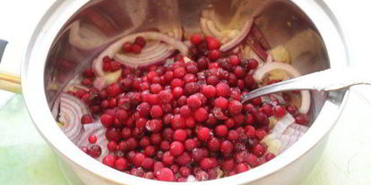 Шаг 7: печеночных оладий с брусничным соусом