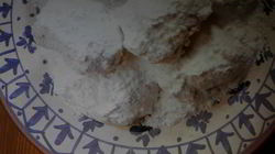 Рецепт Курабьего с миндалем