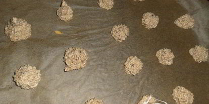 Шаг 5: печенья с арахисом