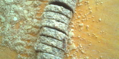 Шаг 12: шоколадного печенья