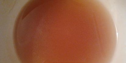 Шаг 2: французского яблочного пирога татен