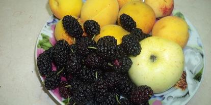 Шаг 3: песочного пирога с фруктами и белковой прослойкой