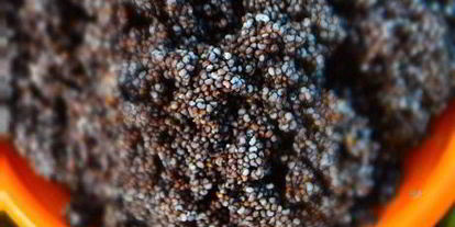 Шаг 2: творожного пирога с маком