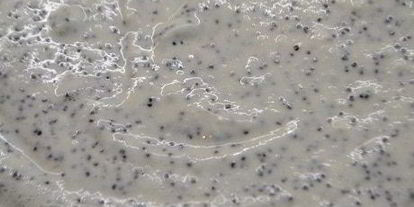 Шаг 6: творожного пирога с маком