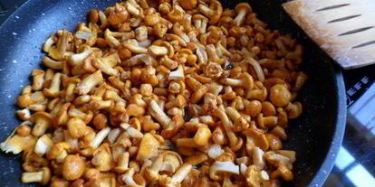 Шаг 2: пирожков с кабачком и лисичками грибная поляна