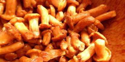 Шаг 3: пирожков с кабачком и лисичками грибная поляна