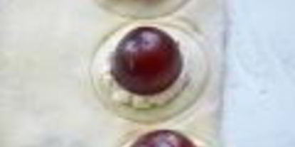 Шаг 3: пирожных с виноградом