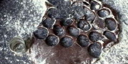 Шаг 3: шоколадных пончиков в глазури