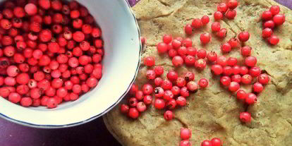 Шаг 8: пряников с брусникой на цельнозерновой муке