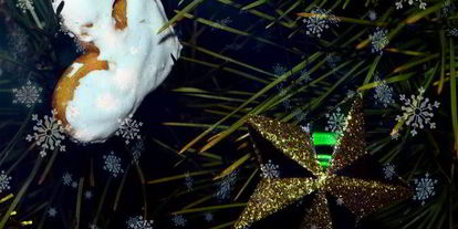 Шаг 11: рождественских медовых пряников