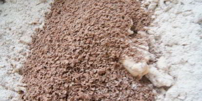 Шаг 1: шоколадных пряников вкусных подарки