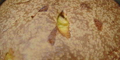 Шаг 4: шарлотки из яблок