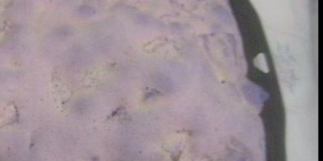 Рецепт шарлотки по быстрому