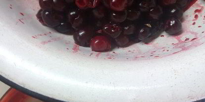 Шаг 8: вишневой шарлотки