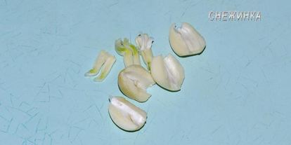 Шаг 7: рисового штруделя с томатно-яблочным джемом