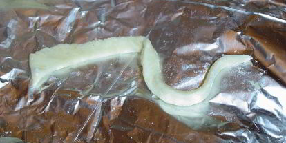 Шаг 3: слоек мышка на сыре