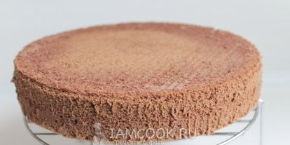 Шаг 10: бисквита брошенного с какао