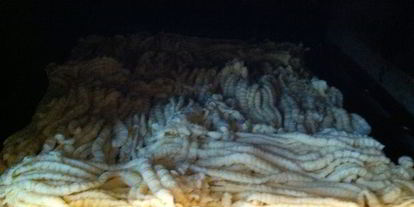 Шаг 1: торта муравейник