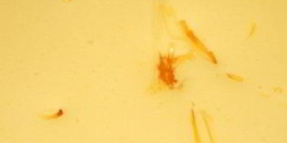 Шаг 8: торта на день рождения девочке 1 год