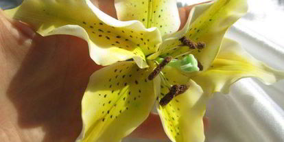 Шаг 21: торта най