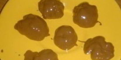 Шаг 13: торта шишка