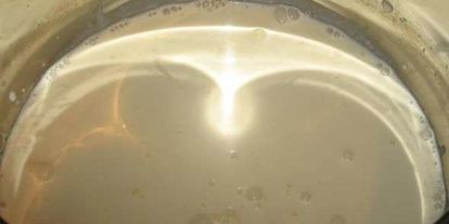 Шаг 18: заварных булочек с кремом