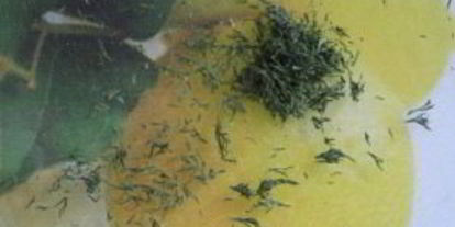 Шаг 4: запеканки под сметанным соусом