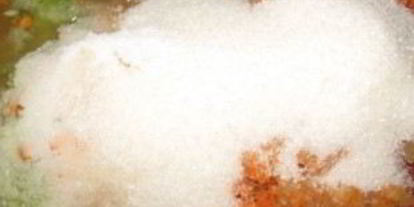 Шаг 5: аджики из кабачков с яблоками