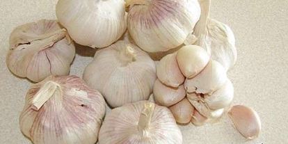 Шаг 23: аджики с помидорами