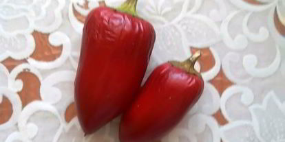 Шаг 5: фруктово-овощной аджика на зиму