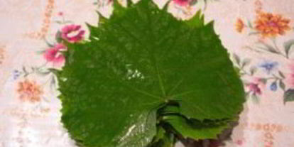 Шаг 1: долмы на зиму