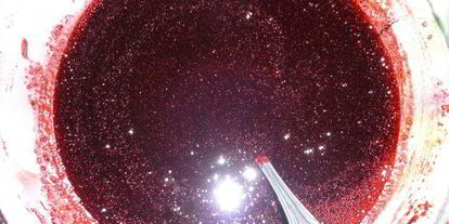 Шаг 1: черничного джема