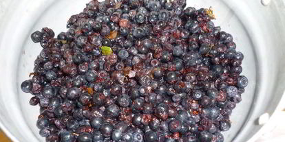 Шаг 4: черничного джема