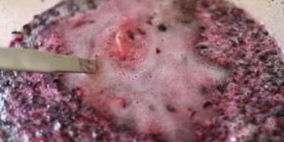 Шаг 4: джема из черники