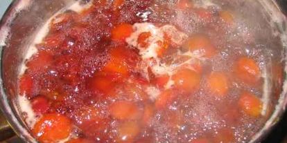 Шаг 5: джема сливового и пастила