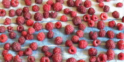 Шаг 1: малинового джема без варки