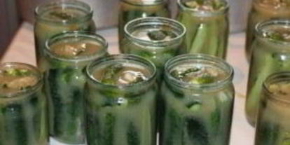 Шаг 3: горчичных огурчиков на зиму