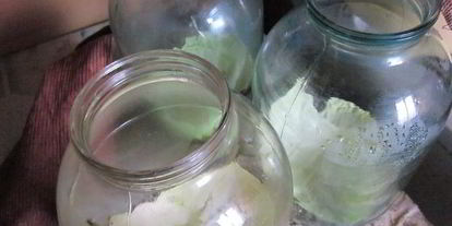 Шаг 2: капусты соленной на зиму