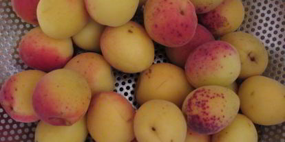 Шаг 2: компота из абрикосов и черной смородины на зиму