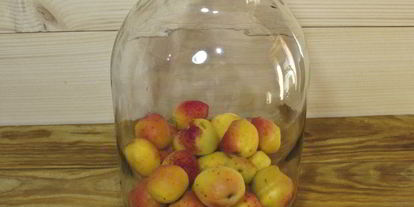 Шаг 4: компота из абрикосов и черной смородины на зиму