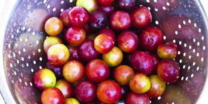 Шаг 1: компота из алычи и яблок на зиму