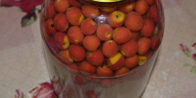 Рецепт компота из боярышника