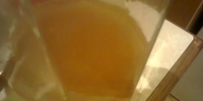 Шаг 3: компота из фейхоа с орегано