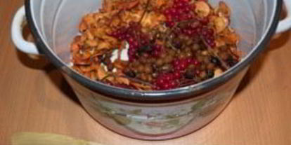 Шаг 2: компота из калины и яблок